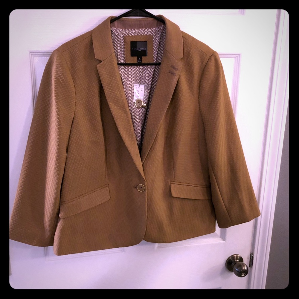 The Limited Blazer